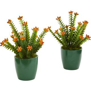 Sedum Succulent Artificial Plant i Green Planter (Sæt på 2)