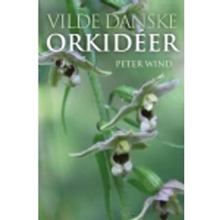 Vilde danske orkidéer