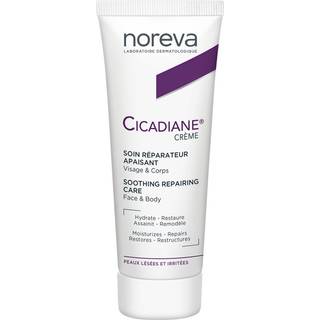 Noreva Cicadiane Repairing & Soothing Care