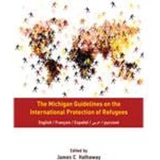 The Michigan Guidelines on the International Protection of Refugees