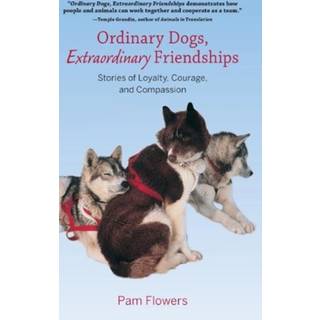Ordinary Dogs, Extraordinary Friendships