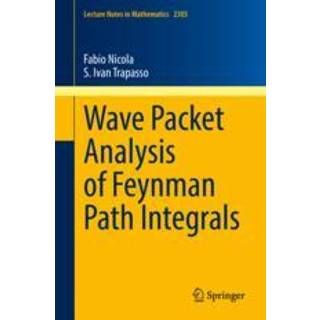 Wave Packet Analysis of Feynman Path Integrals