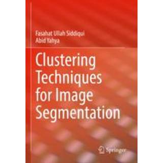 Clustering Techniques for Image Segmentation