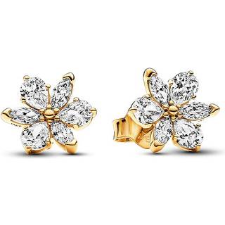 Pandora Ohrstecker - 262633C01 - gold