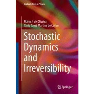Stochastic Dynamics and Irreversibility