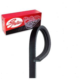 Gates K030265 Micro-V Serpentine Drive Belt