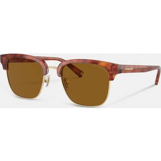 Coach HC8326 C6194 Polarized 577483 52 Solbriller Mænd Guld - Light Gold - 52mm