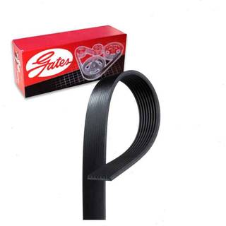 Gates K081253 Micro-V Serpentine Drive Belt
