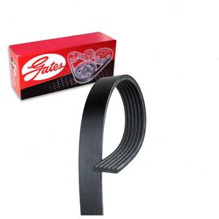 Gates K060609 Micro-V Serpentine Drive Belt
