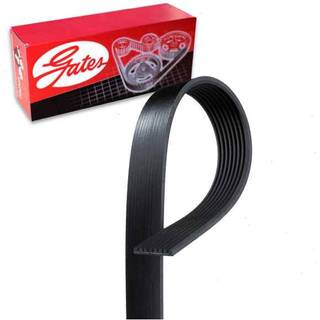 Gates K081213 Micro-V Serpentine Drive Belt