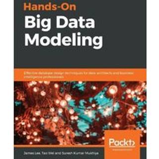 Hands-On Big Data Modeling