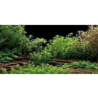 Awert Aquarium Background River Bed & Lake Aquatic Plant Fish Tank Baggrund Vinyl 72x24 inches