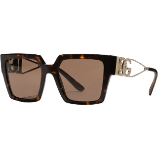 Dolce & Gabbana Kvinde DG4446B 502/73 Solbriller Acetat Skildpadde Brun Firkantet Normal