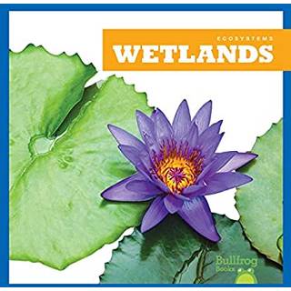 Wetlands