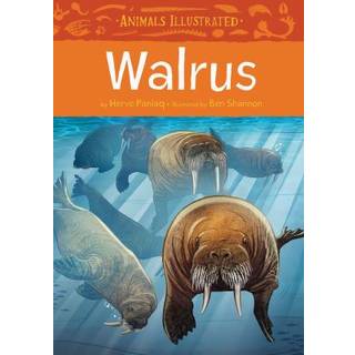 Animals Illustrated: Walrus