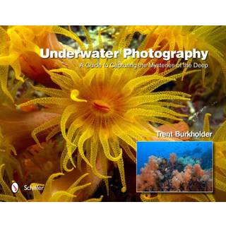 Underwater Photography