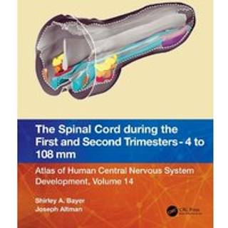 The Spinal Cord during the First and Early Second Trimesters 4- to 108-mm Crown-Rump Lengths