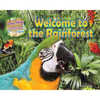 Welcome to the Rainforest