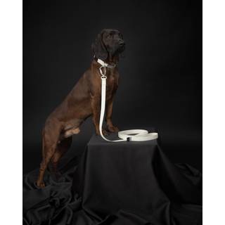 Snor Paikka Glow Leash 2,5x180 cm