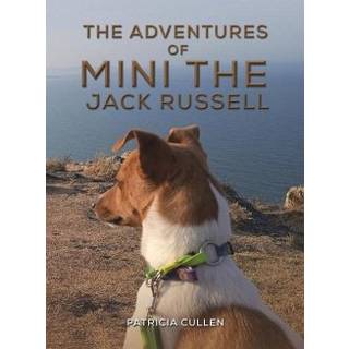The Adventures of Mini the Jack Russell