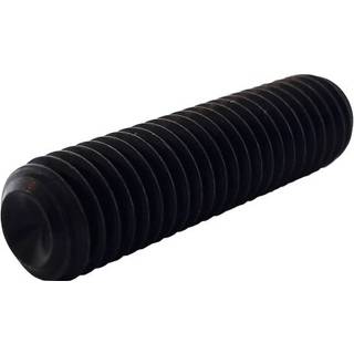 REYHER 009162000120050 Stopskrue M12 MSK6SS, ISO4029, DIN 916 M12x50 mm, 100-pak