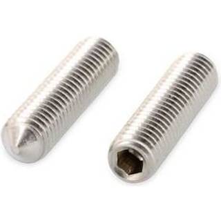 Schäfer & Peters 402746  30 Stopskrue M6, A4 syrefast, ISO 4027, pakke med 200 M6 x 30 mm