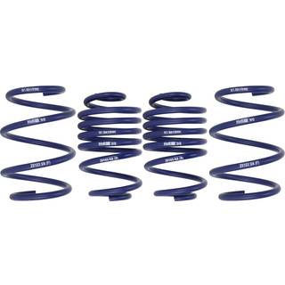 H&R Sænkningssæt Renault Clio III