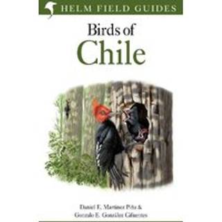 Field Guide to the Birds of Chile