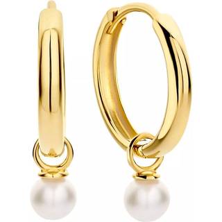 Isabel Bernard Belleville damer Kreoler 14 karat guld IB360158