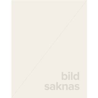 Integrated Chinese Level 3 - Textbook (Simplified and traditional characters)