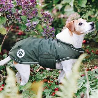 Kentucky Regnjakke - m. foer - 300g - Olivengrøn - Gravhund