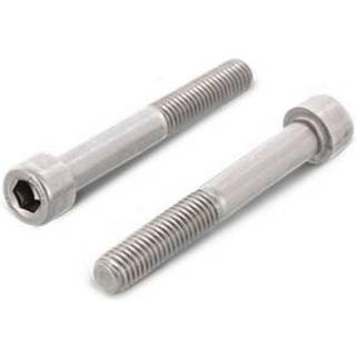 Schäfer & Peters 09122850 Insexskrue M8 MC6S A2, DIN 912 M8 x 50 mm, pakke med 100