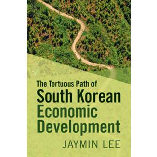 The Tortuous Path of South Korean Economic Development