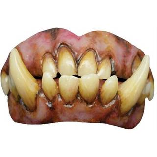 Oger FX Zähne mit Thermo Plast