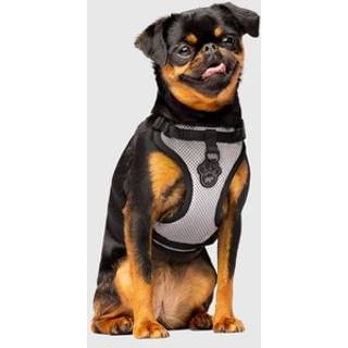 Canada pooch Everything No Pull Dog Harness - Easy Walk Harness for Dogs With Breathable Mesh Exterior Justerable Dog Walking Harness Fantastisk