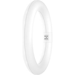 Ledvance LED Lysrør T9 Value Rundt (EM/Mains) 11W 1320lm - 840 kold hvid | erstatter 22W