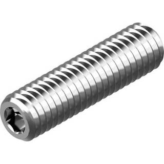 Wasi Pinolskrue M8x10MM a4 6kt 4,0MM din 916