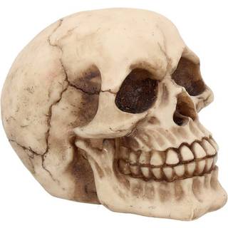 Kleiner Grinsender Totenschädel 12cm