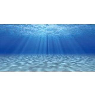 Awert Undersea Aquarium Baggrund Sunshine Underwater Ocean Floor Fish Tank Baggrund 48x20 inches Polyester baggrund
