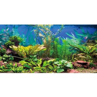 Awert 60x24 inches Aquarium Baggrund Aquatic Plant River Bed & Lake Fish Tank Baggrund Vinyl