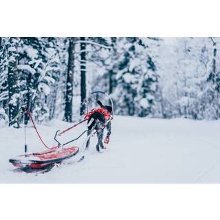 Non-Stop Dogwear Combined harness Red 8