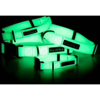 Halsbånd Paikka Glow Colar 1,5x23-30 cm