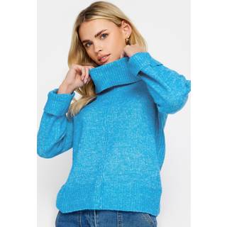 PixieGirl Petite Rullekrave Boxy TrøjeEU 38-40 Petite (UK 10-12 P)