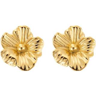 BY JOLIMA Daisy Earring Gold Onesize