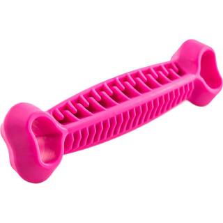 Leksaksben Fiboo Fiboone Dental Lyserød 19 cm