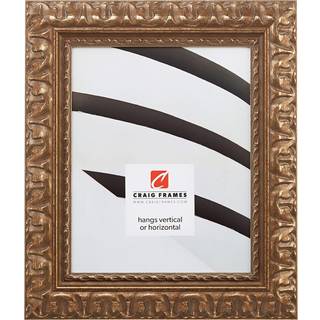 Craig Frames 16x20 Picture Frame 2 """" udsmykket bronze guldv?g h?ngende