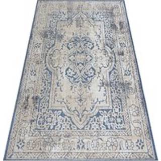 Tæppe Strukturelle SOLE D3871 Ornament, ramme - Fladt vævet, to niveauer af fleece blå / beige 120x170 cm