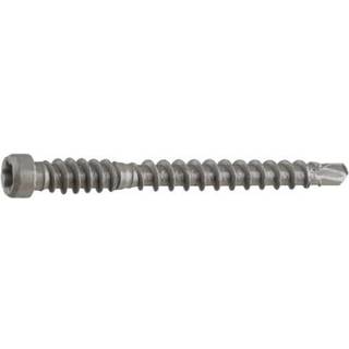 Arne Thuresson CPTX48U1000 Panelskrue båndet, Ø4,2 mm, BS, TX20 Ø4,2 x 48 mm, stk. 1000