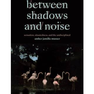 Between Shadows and Noise