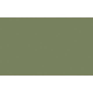 Sage Green™ - Absolute Matt Emulsion - 1 L